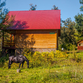 База отдыха «Сурские зори» (материалы - ООО «СТэП»)9 База отдыха «Сурские зори» (материалы - ООО «СТэП») 9 - Объект СТЕП