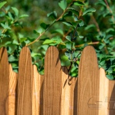 Забор из профнастила фигурного7 Забор из профнастила фигурного 7 - Объект СТЕП